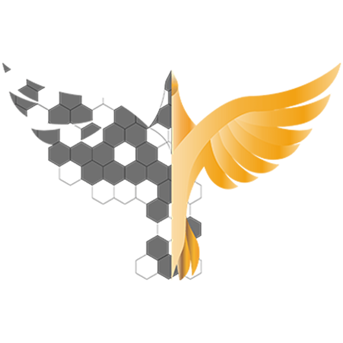 آکادمی آدام مرادی